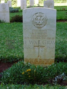 BEIRUT WAR CEMETERY - GIBSON, G J